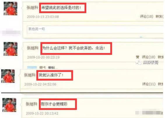 张继科刘诗雯扣球,张继科曾经猛追刘诗雯