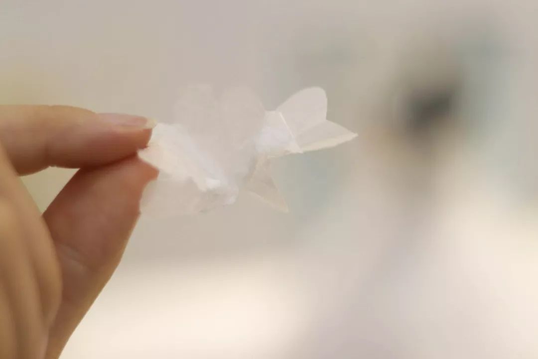 圆每个妹剂C的公主梦，这家店现在婚纱免费试，饮品+蛋糕请你食