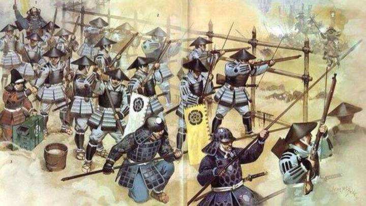 明军杨镐,明军在朝鲜抗击日本人纪录片