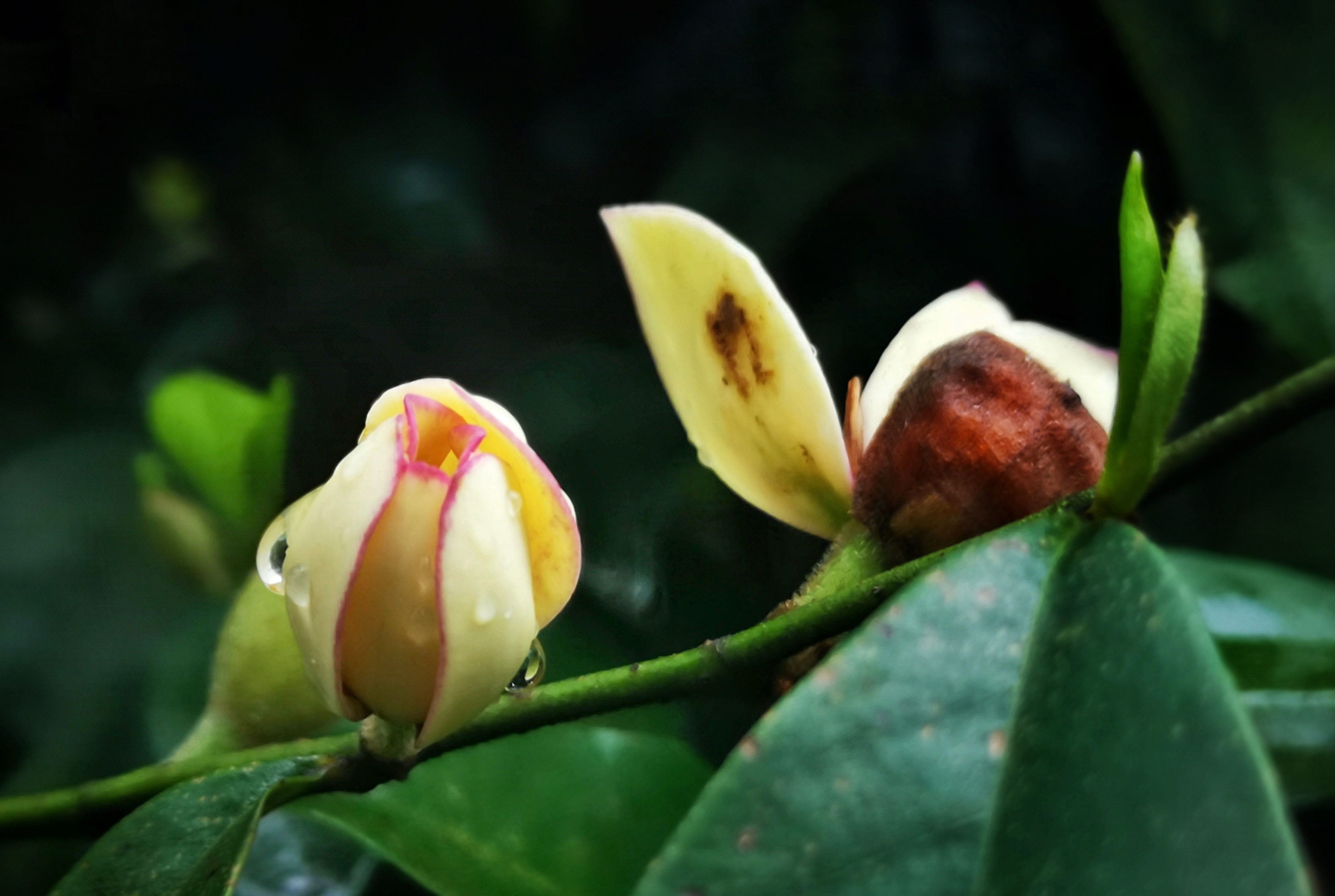 寻找身边的美丽身影,寻找身边美丽景色