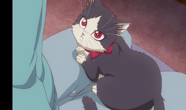 《同居人是猫》一月不容错过的治愈番网友：又想骗我养猫