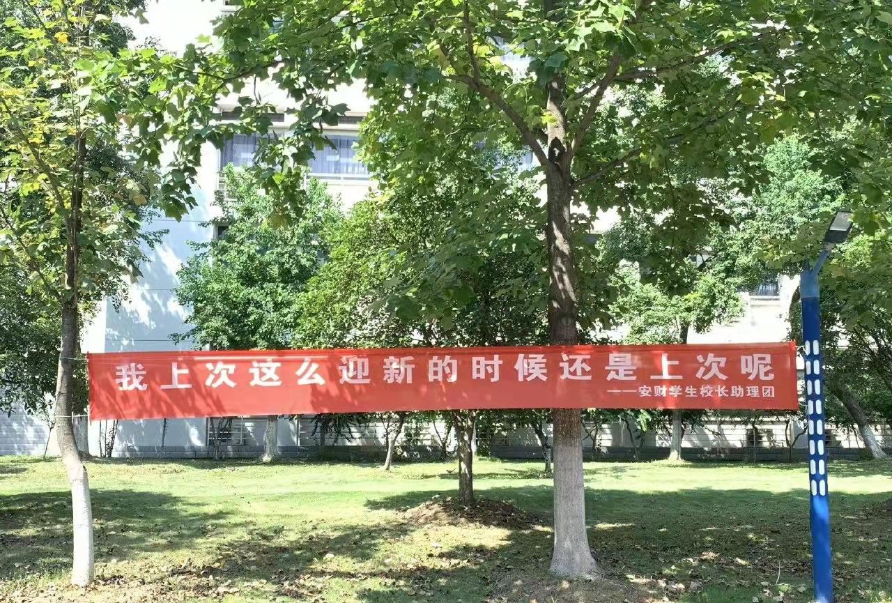 又是一年开学季,安徽财经大学迎新标语走红,网友笑出“鹅叫”