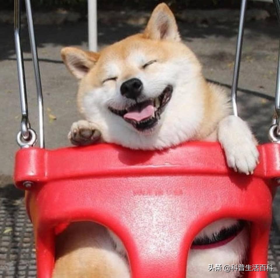 疫情期间的跑步机可以买吗,疫情期间买不起跑步机