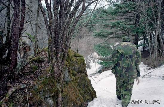 寻找野人的张金星现在如何,张金星神农架野人
