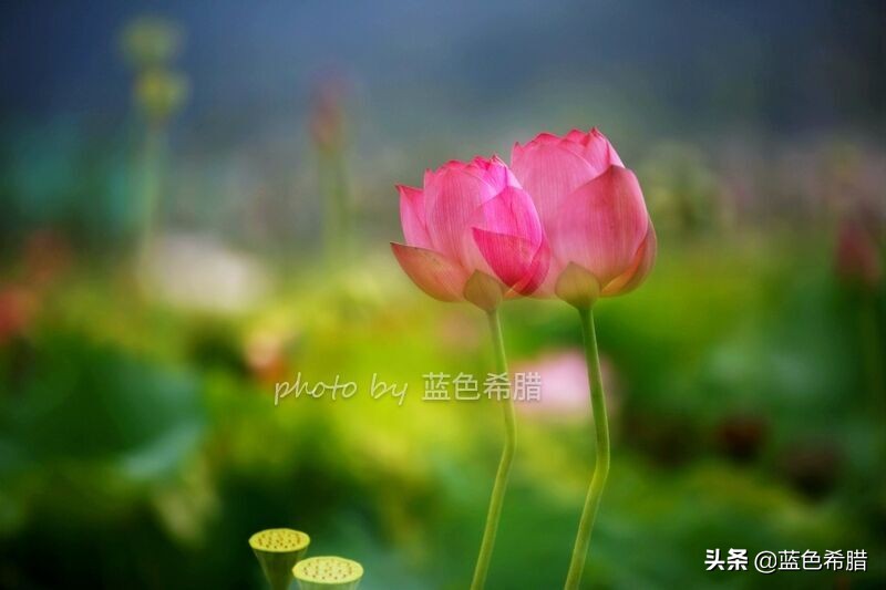 佳能5d3能拍多少数量照片,佳能5d3有多重曝光拍摄技巧