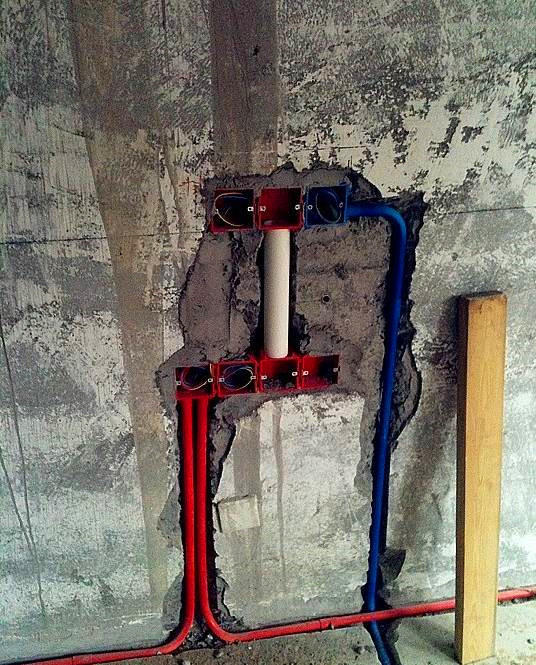 老鼠的习性视频,老鼠笼捕捉老鼠过程