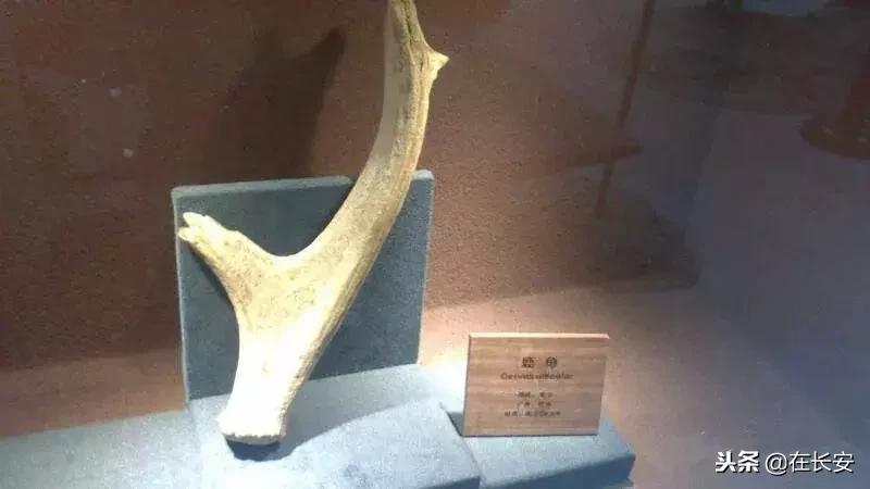 西安周边亲子游玩好去处推荐,西安儿童游乐去处推荐