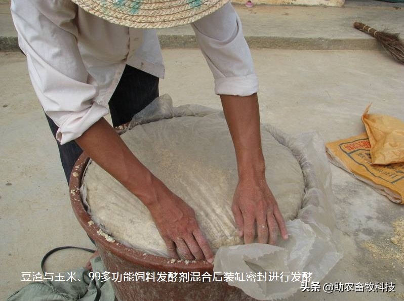 豆渣发酵饲料促生长易吸收,豆渣怎样发酵变成饲料养鸡