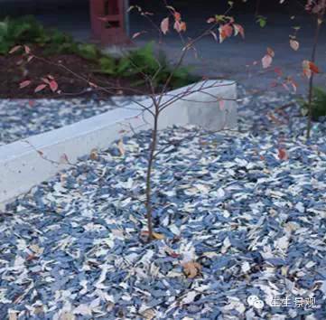 微景观材料的作用,微景观生态材料