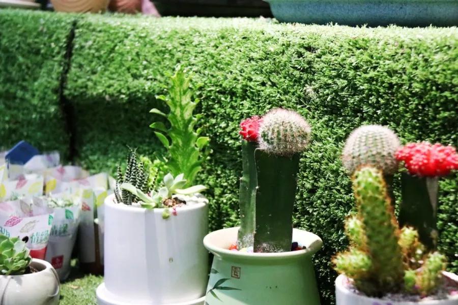 <html>
<head><title>502BadGateway</title></head>
<body>
<center><h1>502BadGateway</h1></center>
<hr><center>nginx</center>
</body>
</html>
<!--apaddingtodisableMSIEandChromefriendlyerrorpage-->
<!--apaddingtodisableMSIEandChromefriendlyerrorpage-->
<!--apaddingtodisableMSIEandChromefriendlyerrorpage-->
<!--apaddingtodisableMSIEandChromefriendlyerrorpage-->
<!--apaddingtodisableMSIEandChromefriendlyerrorpage-->
<!--apaddingtodisableMSIEandChromefriendlyerrorpage-->
