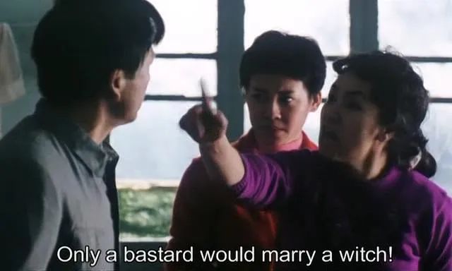 李冰冰警察电影老片子,李冰冰国产电影