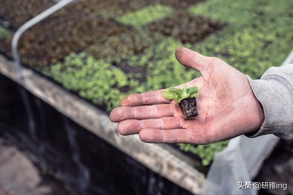 为什么我们都要有一颗终生学习的心，不管是出国，还是学习其他的