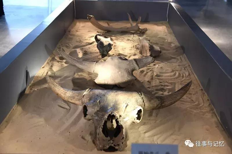 通辽霍林郭勒市区,通辽霍林郭勒一日游