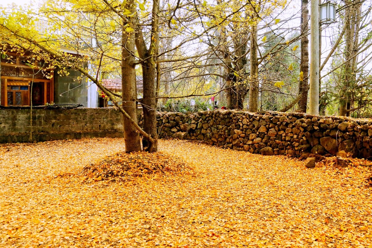 带你看遍云南的美景,风景绝美的云南小众目的地