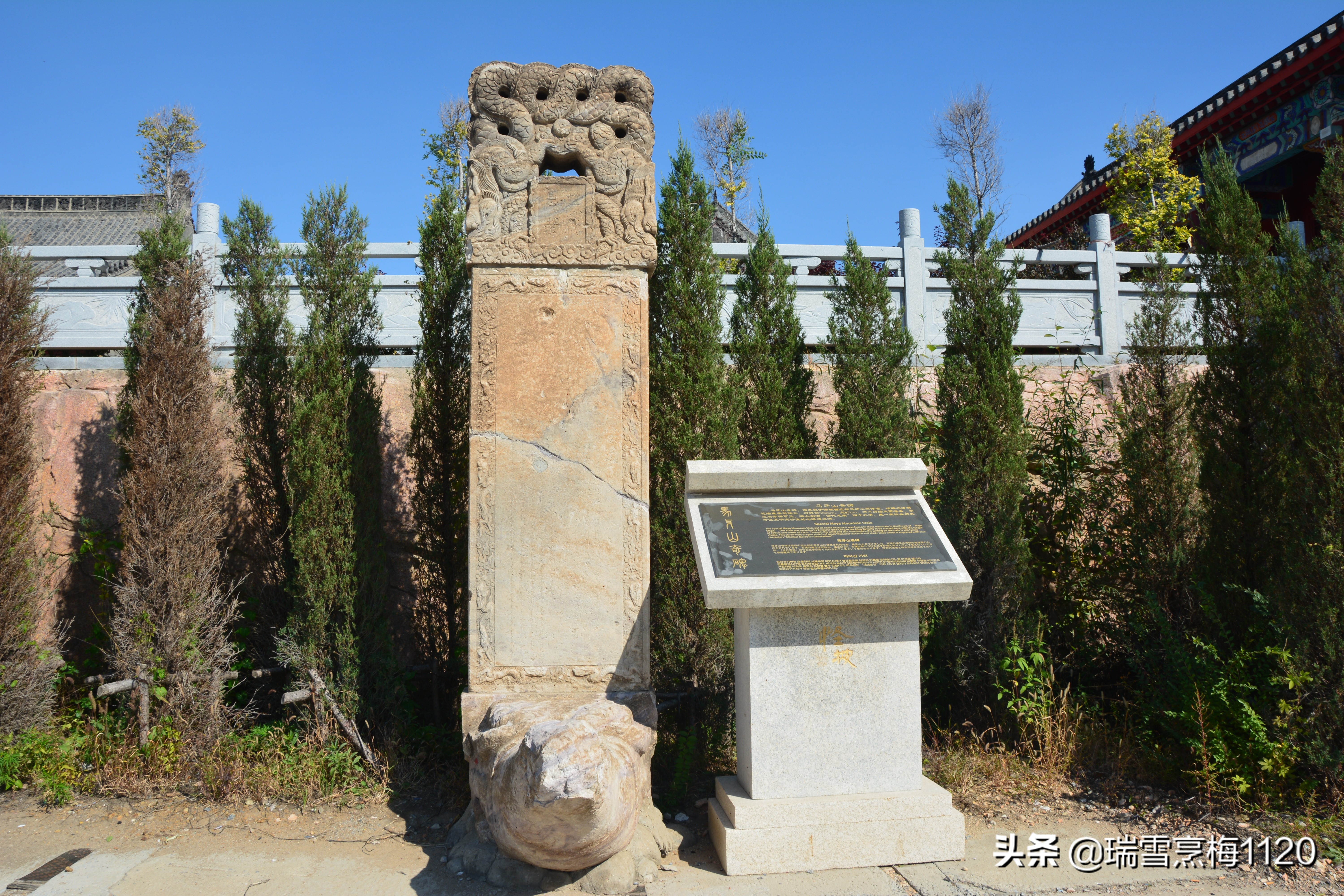 沈阳沈北怪坡免费吗,沈北新区怪坡攻略