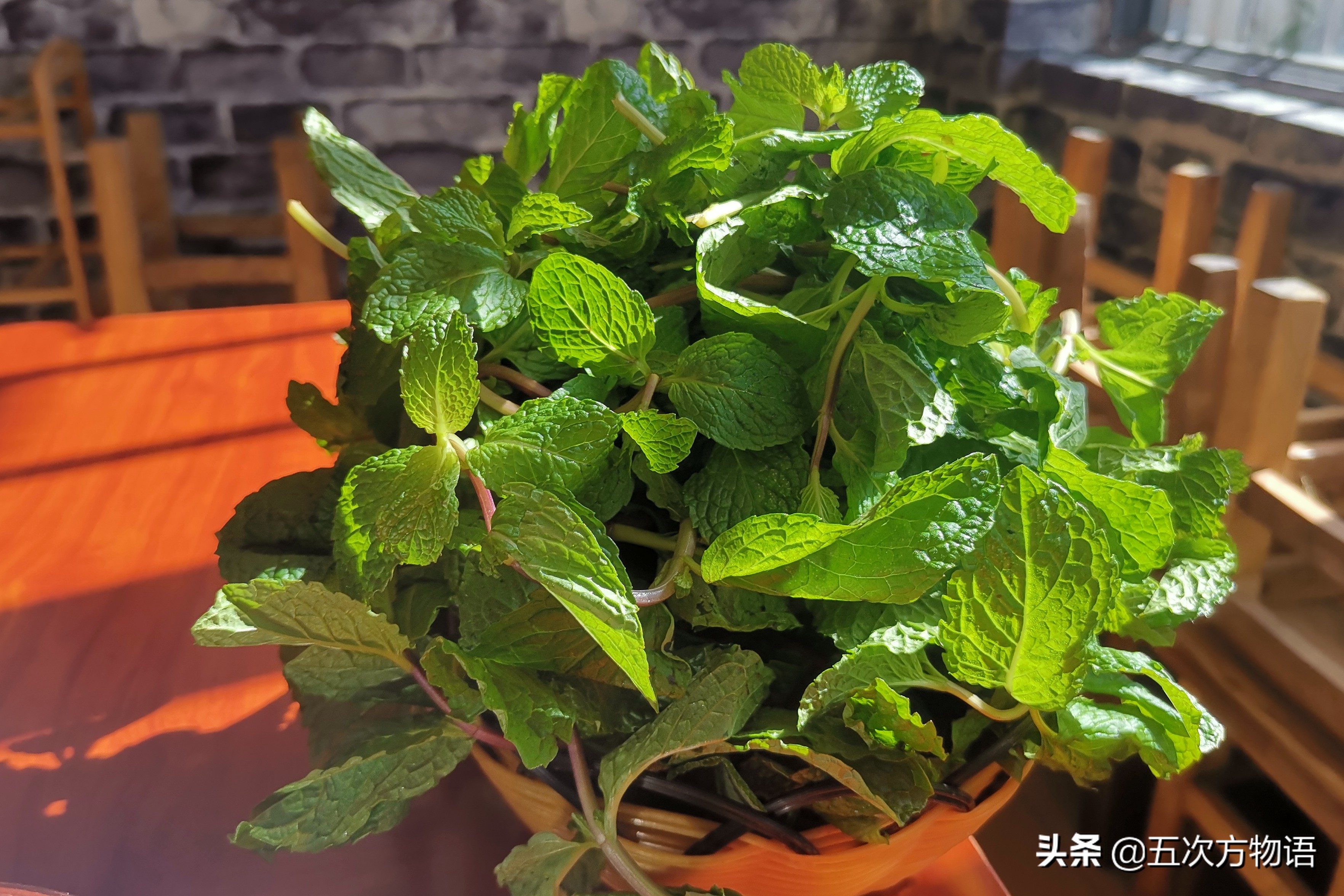 10种口味薄荷糖,十种薄荷