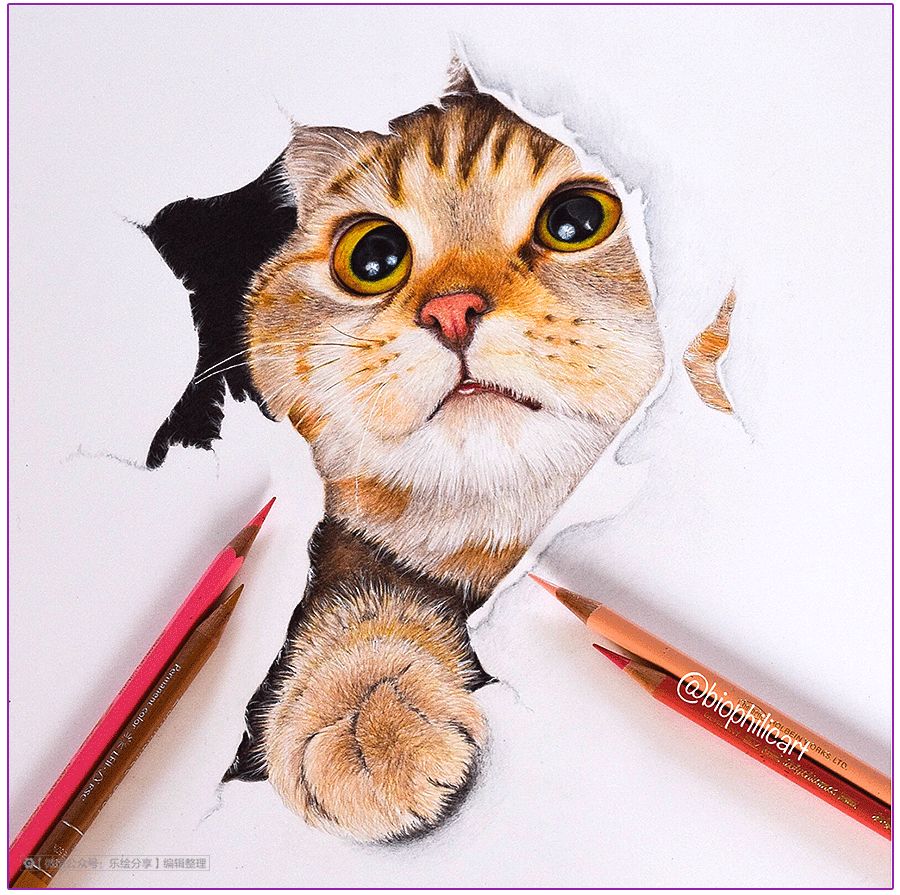 圆形牛皮纸彩铅画花鸟,彩铅画绿藤花鸟图片大全