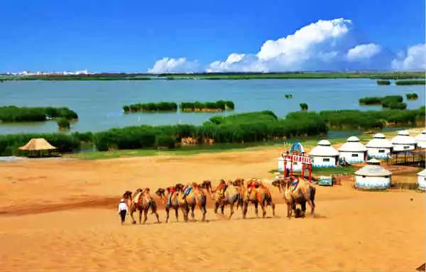 中国各地特产酒一览表,安徽各地特产一览表