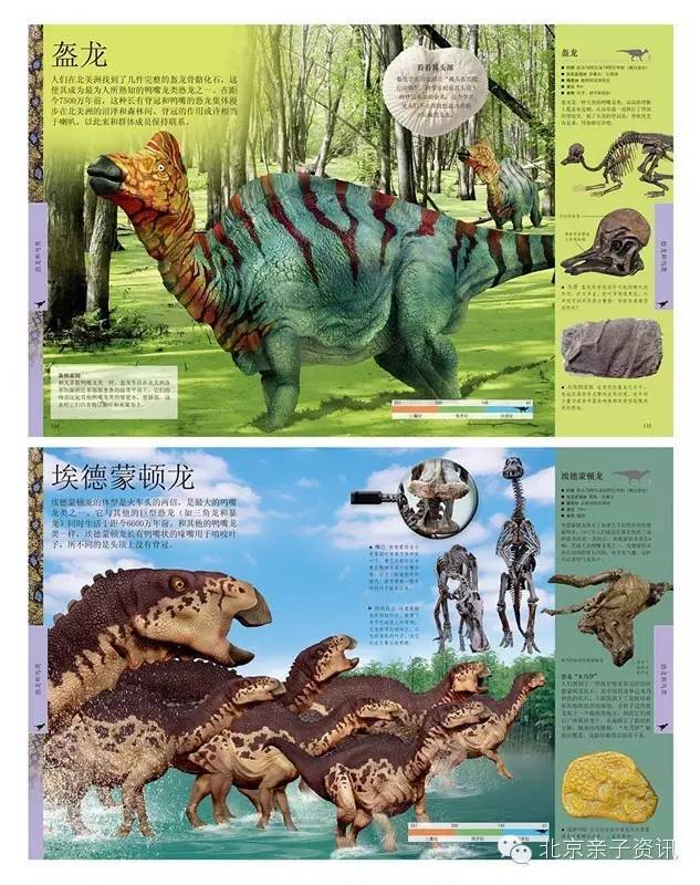 顶级儿童百科全书,dk儿童百科全书适合几岁