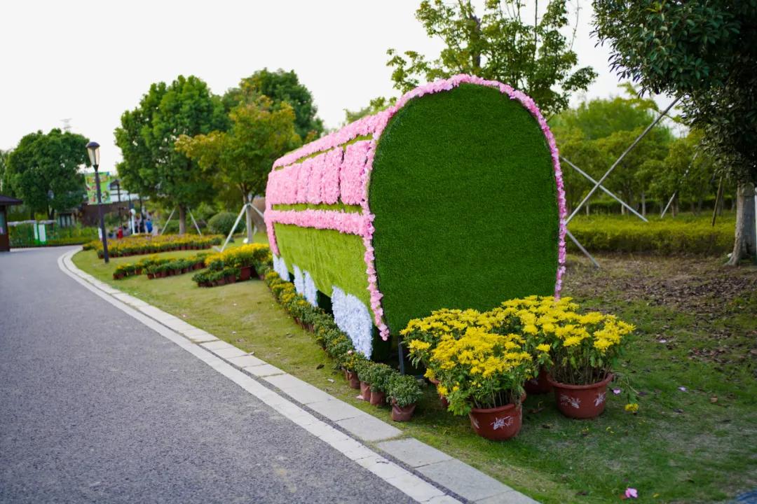藏不住了！国庆苏州这片花海美哭了！大人小孩玩到不想走