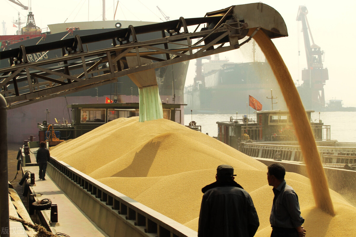 近几年大豆价格走势分析,最近大豆价格走势如何