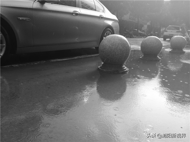 南阳八月七日下午这场雨,说来就来也不给你打个招乎