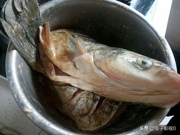要想鱼肉香就用铁锅炖,铁锅炖鱼怎么鱼肉不散