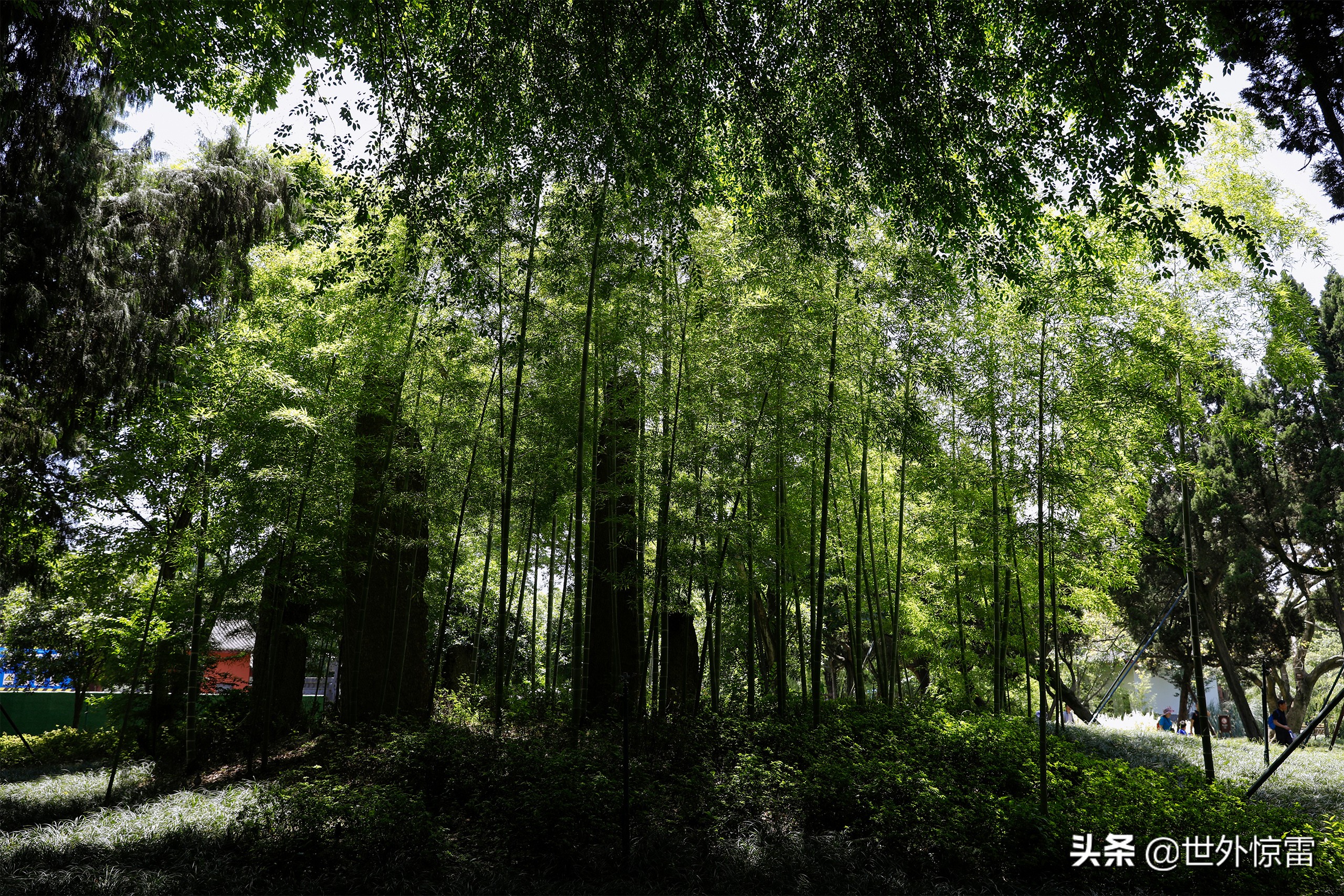 四川旅行攻略旅行社,四川旅行成都