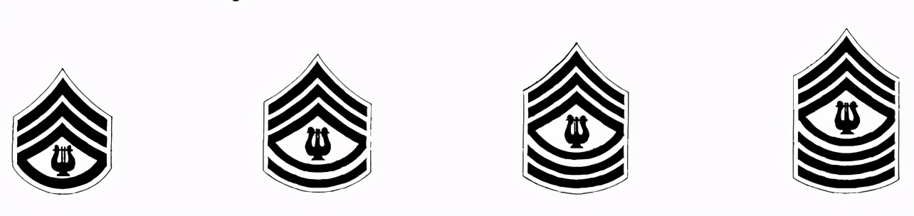 美国军队熊皮帽,美军海军陆战队大檐帽