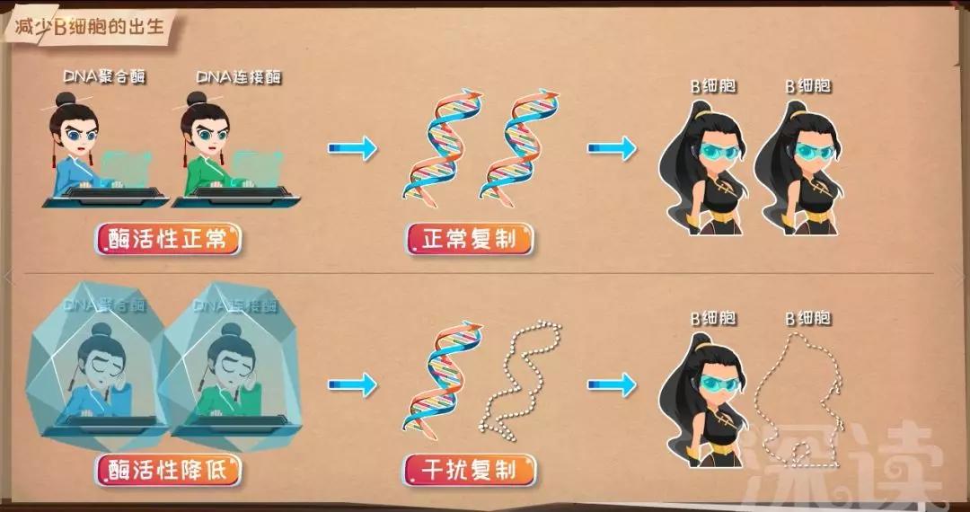 红斑狼疮能痊愈吗,红斑狼疮可以治愈吗能活多少年