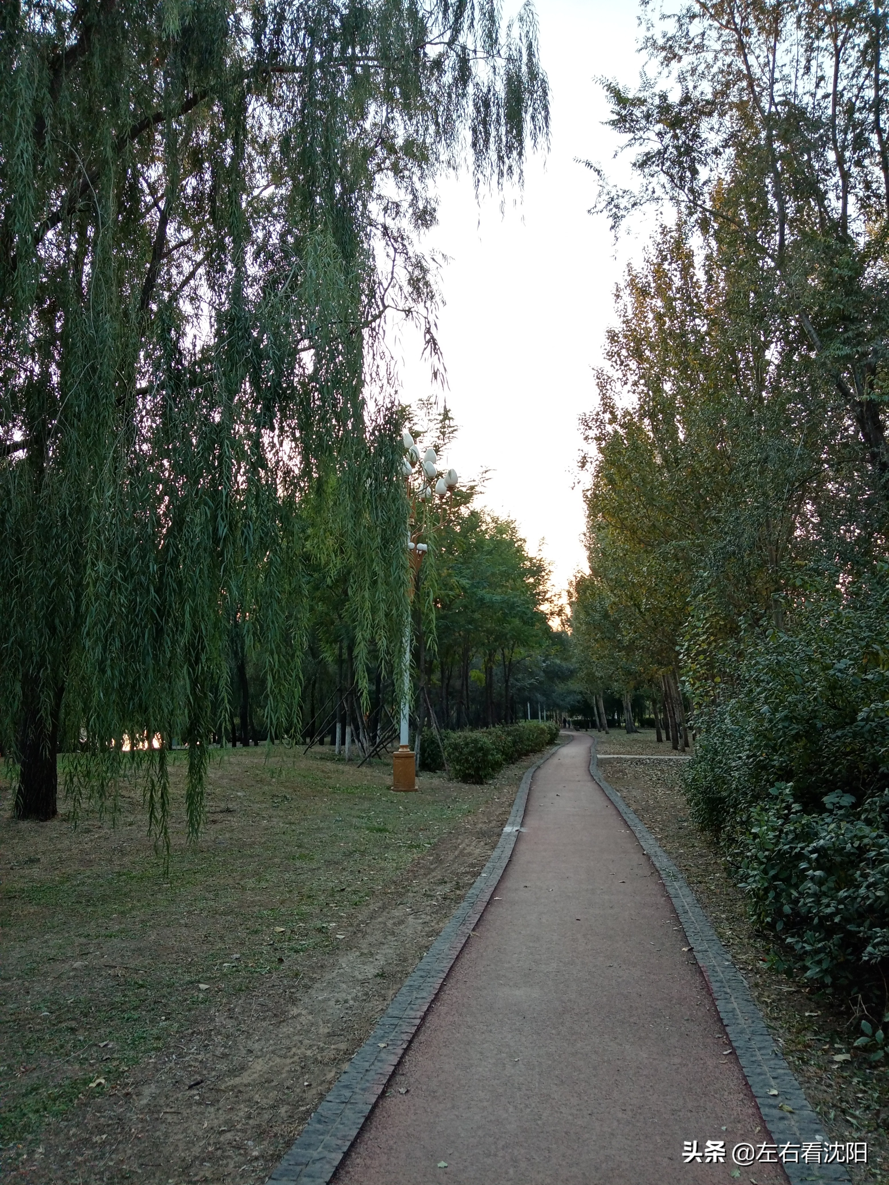 沈阳五里河公园攻略,沈阳五里河公园现在开吗