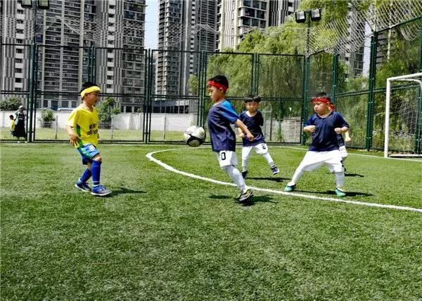 飞扬足球,飞扬足球预测