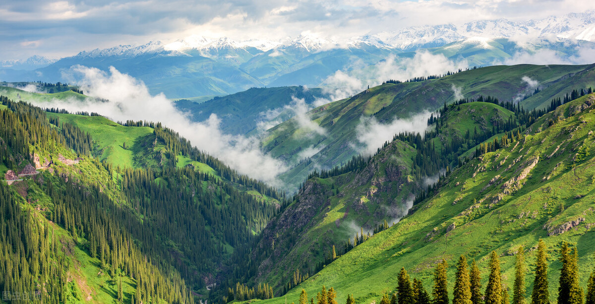 独库公路网红攻略,独库公路环线自驾游攻略