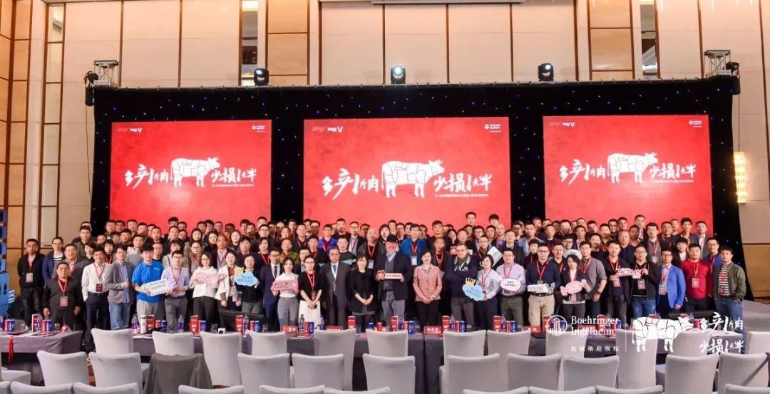 这一次，风口上站的是肉牛