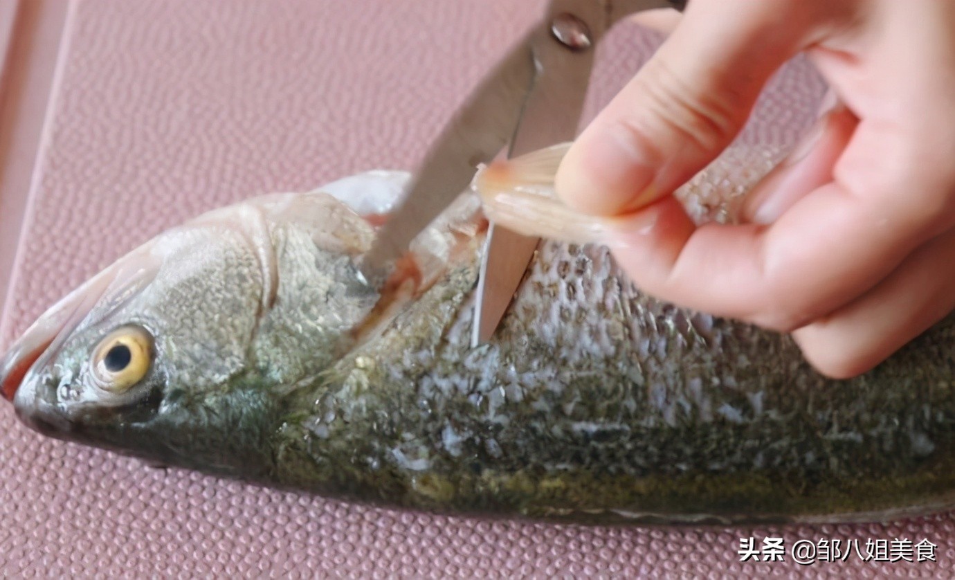 买鲈鱼的正确方法视频,如何挑选鲜活鲈鱼