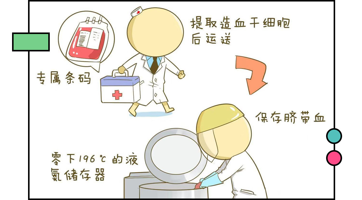 这些网红产品到底能不能买,十大网红产品个个是坑劝你别买