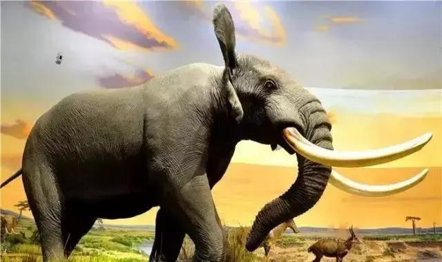 青岛六一有什么展览吗,青岛六一好去处