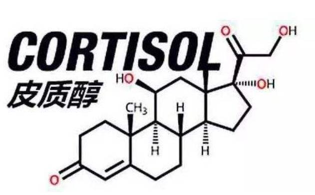 怎样会导致皮质醇上升,如何降低皮质醇水平和减肥