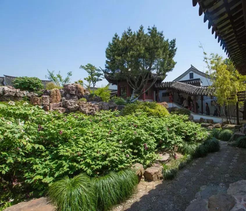 最值得去的免费旅游的景区,5.19中国旅游日免费门票景区