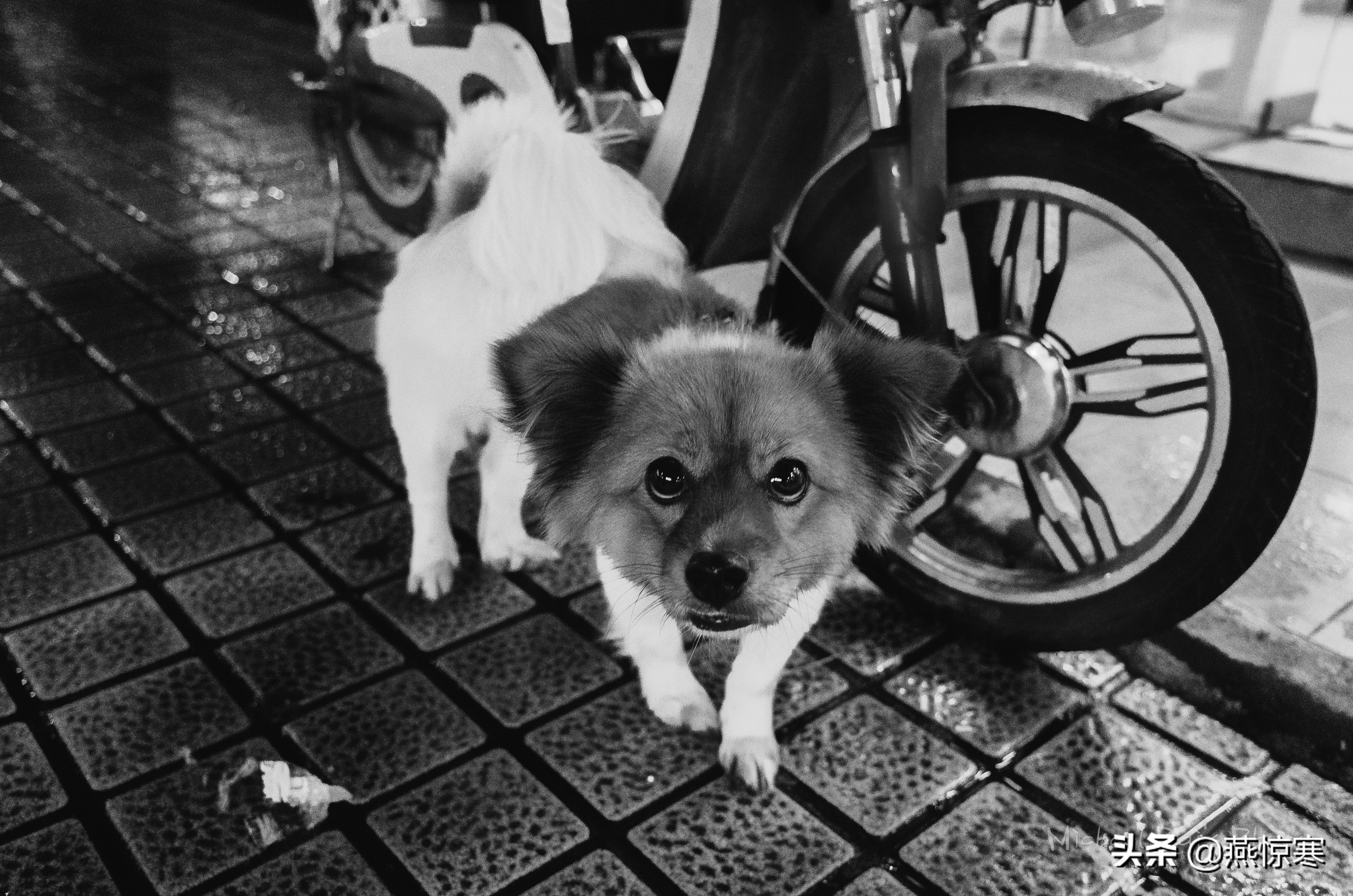 宾得相机配理光的镜头,宾得理光镜头推荐