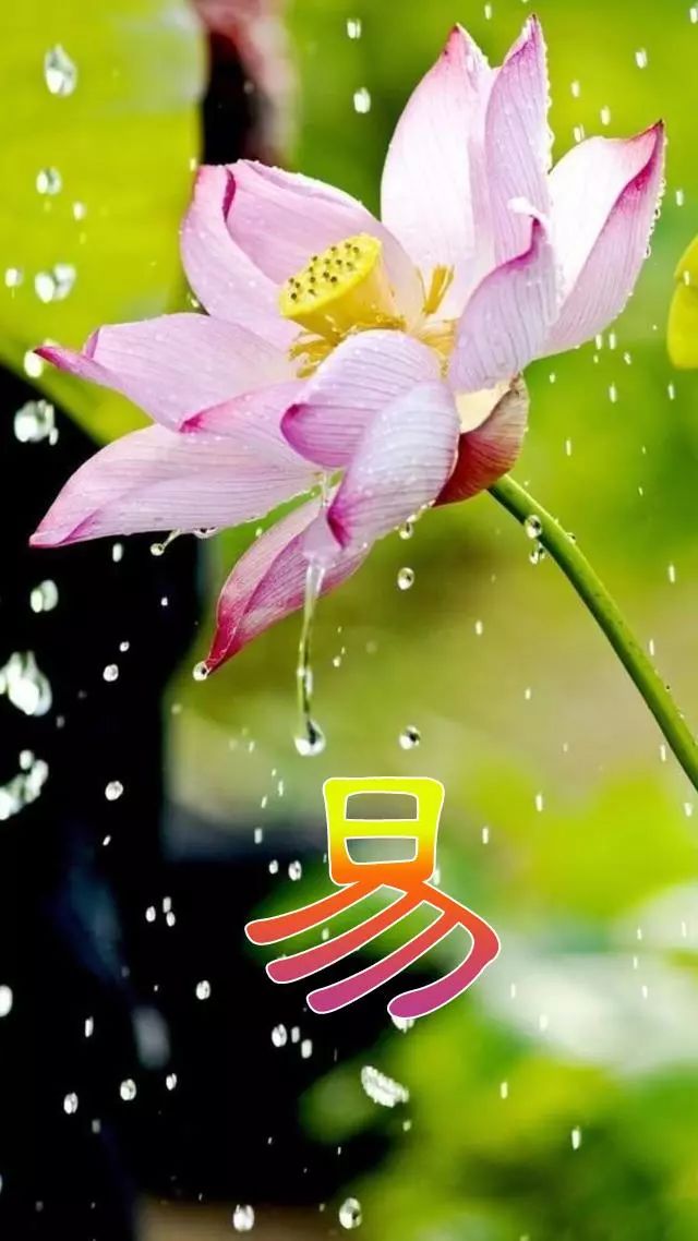 天然翡翠财字,翡翠字体图片欣赏