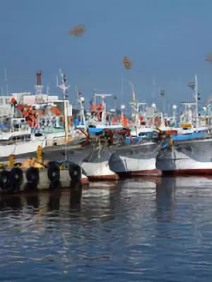 韩国曹溪寺旅游攻略,11月底韩国首尔旅游攻略