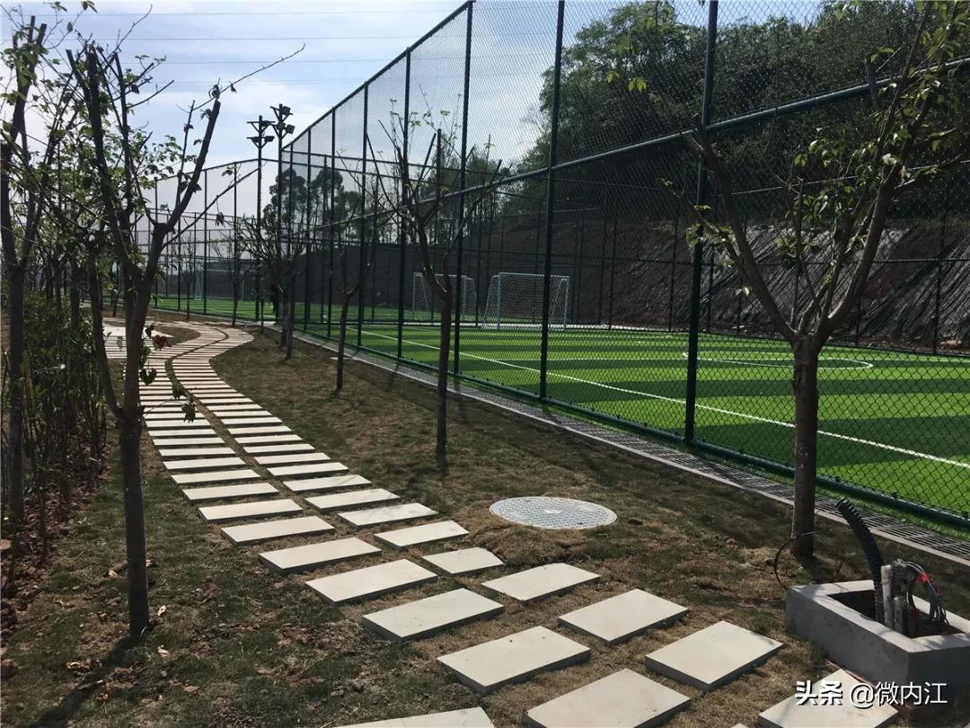 惊喜！塔山公园又有5个新场地竣工了——