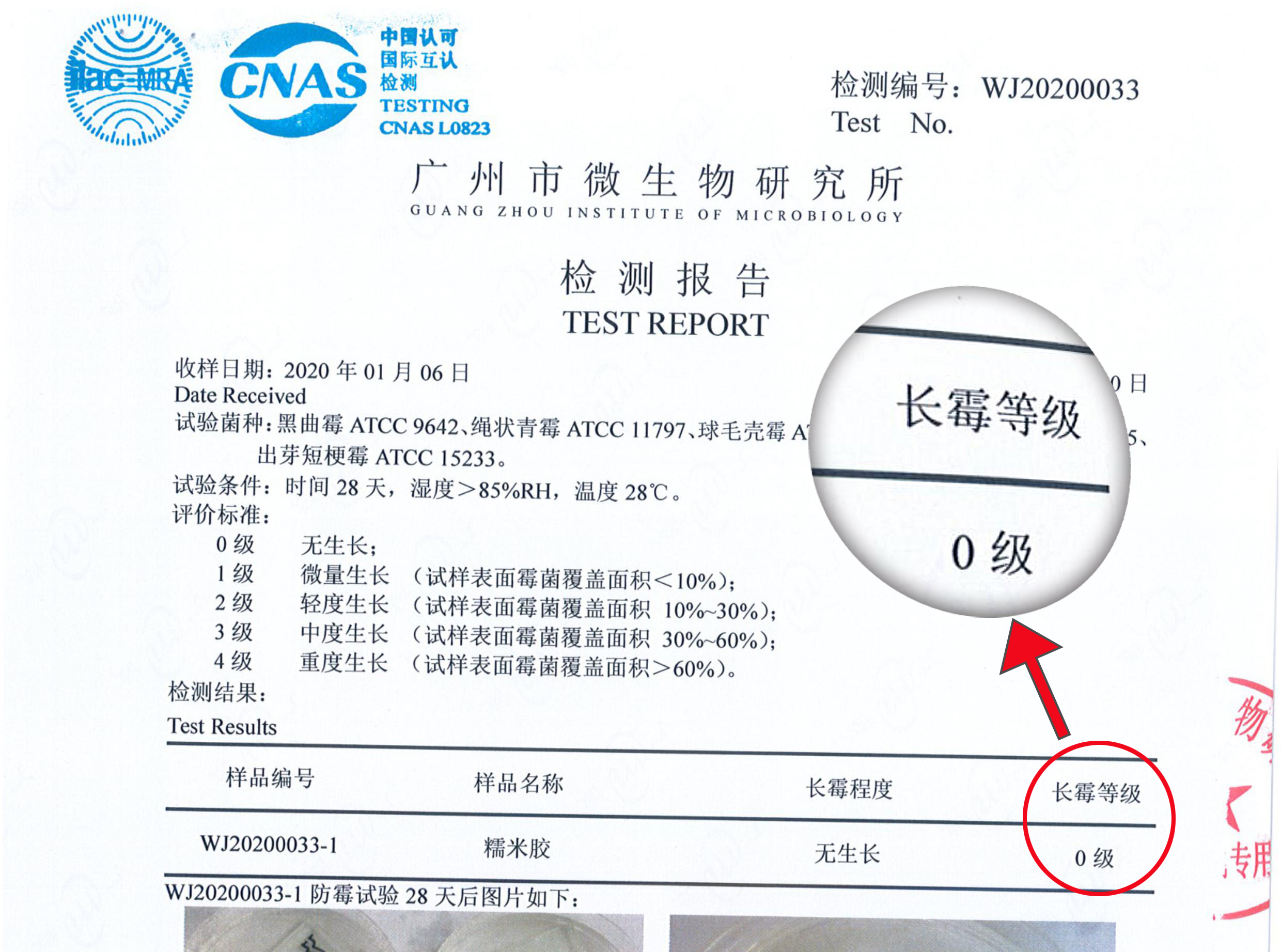 糯米胶透墙布要及时处理吗,怎么用糯米胶贴墙布