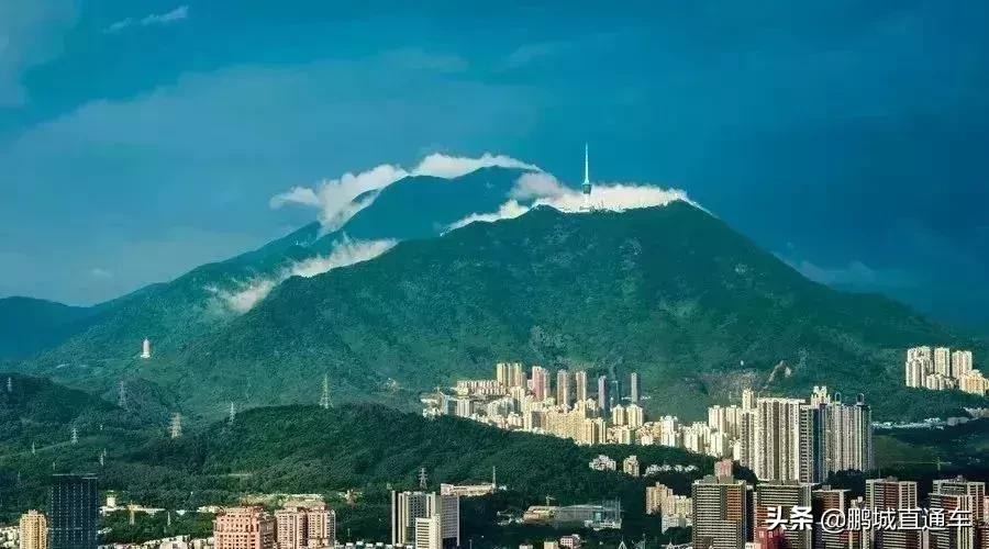 深圳60个最适合一日免费景点,暑假深圳旅游必去十大景点