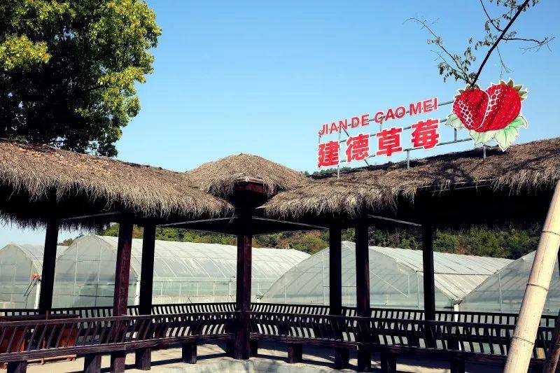 致中和国养国际金奖2012珍藏版,致中和中华老字号酒配料