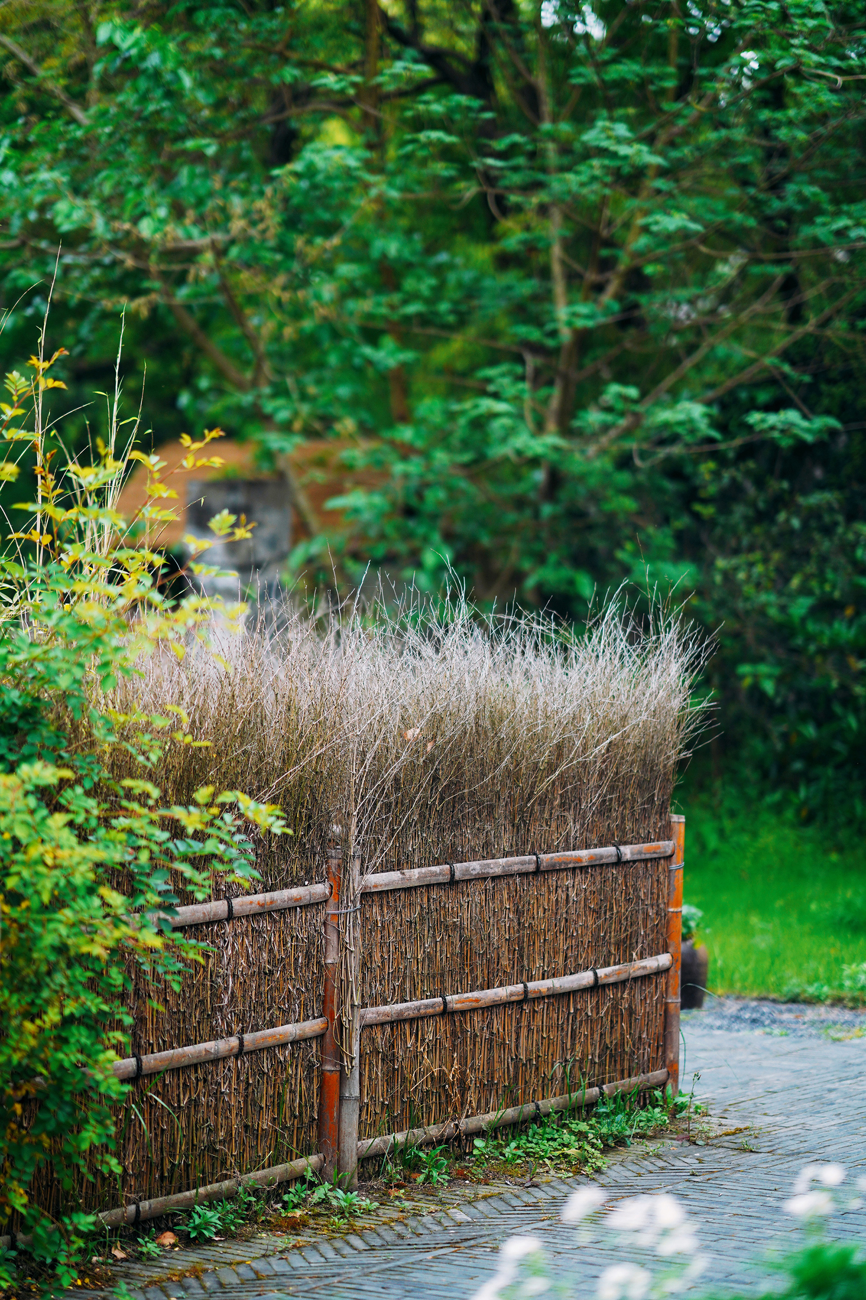 送你一份不走寻常路的苏州攻略，田园风民宿+文艺小清新打卡地
