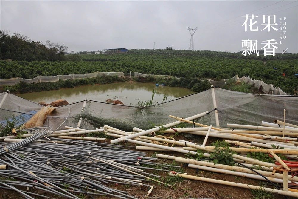 种地真的不容易一分耕耘一分收获,种地真的不容易钱难挣