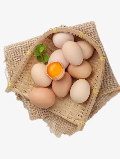 怎么从外观挑选新鲜鸡蛋,生活小常识鸡蛋如何煮