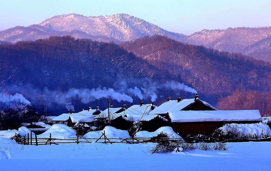 今年农村过年猪为什么要求提前杀,南方杀年猪和北方杀年猪的区别